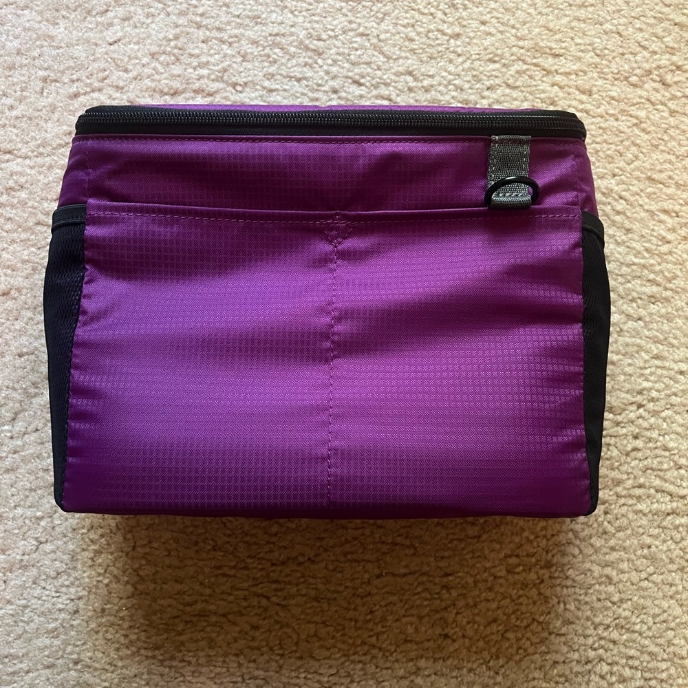 Tenba BYOB Camera Insert 10 - Plum/Gray